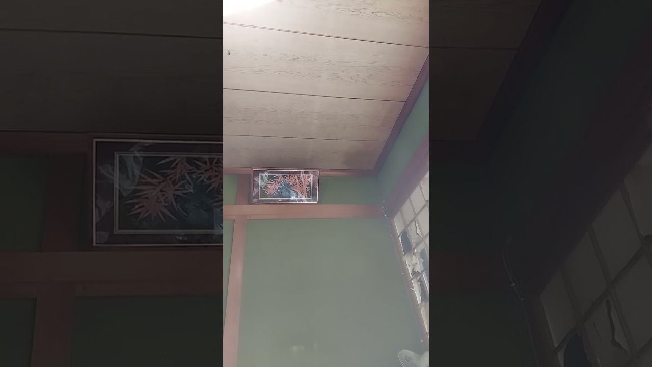 太川陽介さん藤吉久美子さん夫妻、谷隼人さん松岡キッコさん夫妻、中尾彬さん池上志乃さん夫妻は凄い亭主関白だ！！