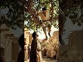 jesus love #jesus #youtube #shorts #israel #usa #us #dubai #india