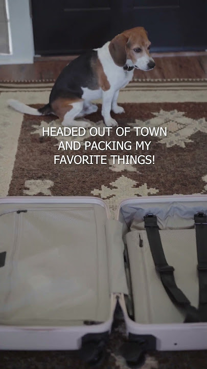 Mono Luggage | At Home Pack With Me |