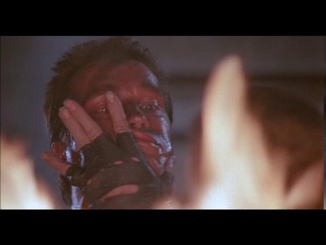 コマンドー 好きな映画だけのブログ コマンドー 好きな映画だけのブログ