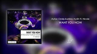 Aytac Ozalp, Kubilay Aydin FT. Nicole - Want You Now Resimi