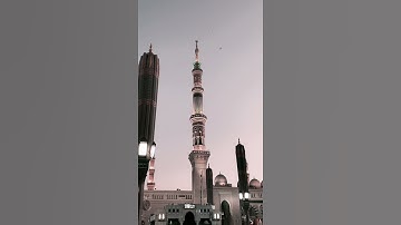 سورة الفاتحة من الحرم النبوي🌿🤍 #الحرم_المدني  #المدينة_المنورة