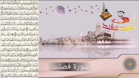 سورة فصلت | احمد سعيد | صلاة القيام 1443 - 2022