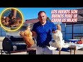 Pollo crujiente frito en ahumador delicioso pollo casero georgykavkazcocinero9632