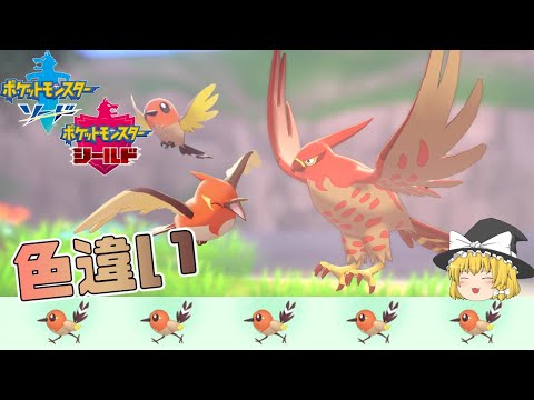 ソードシールド ヤヤコマの種族値 わざ 特性など能力と入手方法 ポケモン剣盾 攻略大百科