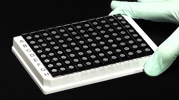 Luminex NxTAG® Technology