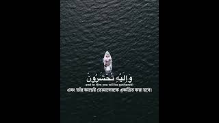 Download Lagu Surah Al-Mu'minun | Verses:78-80 | Reciter:Abdul Rahman Mossad MP3