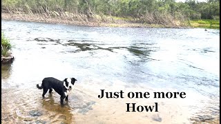 Just one more Howl