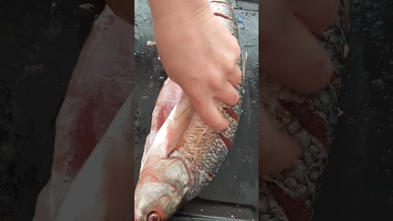 Çox ləzzətli içi doldurulmuş balıq#shortsvideo #balık#baliq#fish#food #ləzizyeməklər#yemektarifleri