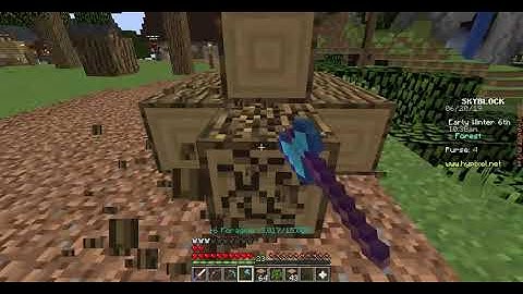 Hypixel Skyblock Bug Report #1