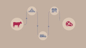 Traceability as essential tool for beef quality control