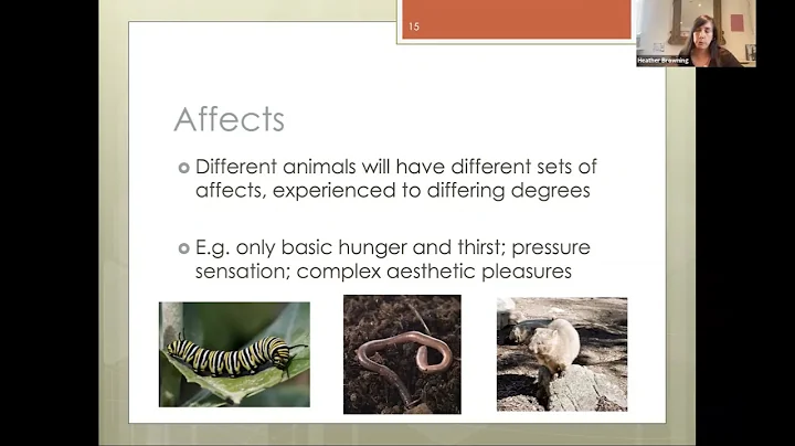 Heather Browning - Constructing Animal Affect Prof...