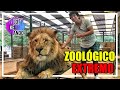 ¿Cómo es estar atrapado con LEONES y TIGRES? 🦁🐯 | Zoológico de Luján | ARGENTINA #1