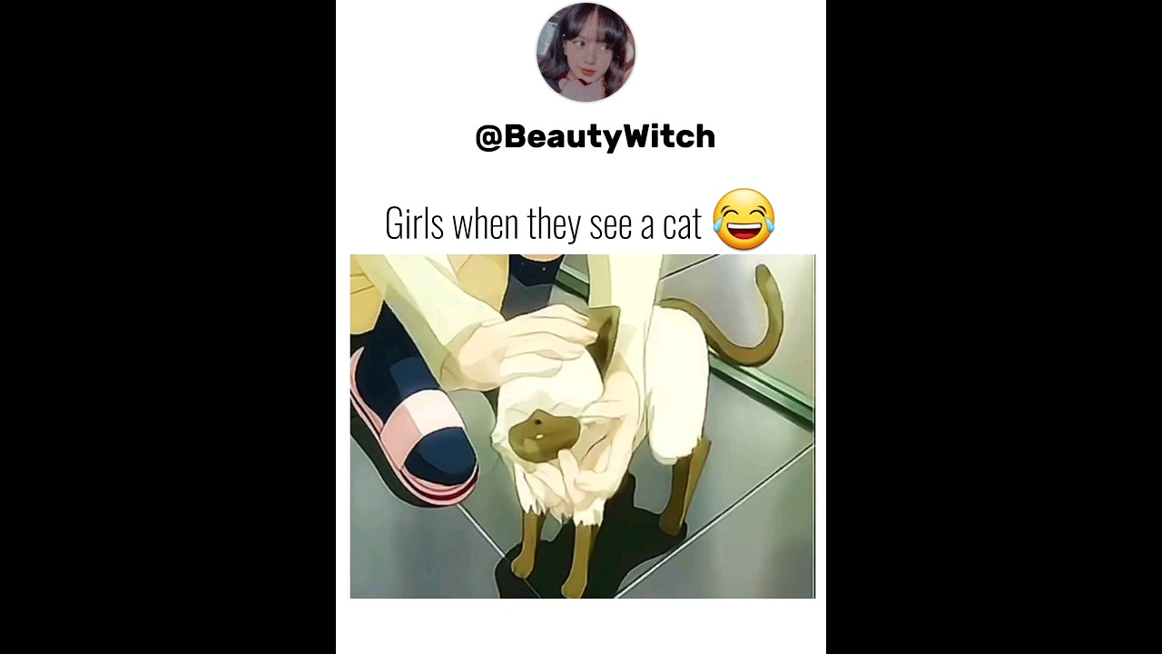 when girls see a cat 🐈  😂😂😂😂😂😂😂😂😂