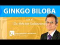 GINKGO BILOBA CUIDADO Y Beneficios Contra el ENVEJECIMIENTO 🌳 | por el Dr. Héctor Solórzano