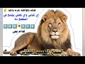 كنانه وكواهله حرم واحد الشاعر الشيخ العبيد الكناني