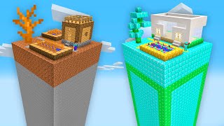 WHO WIN IN THIS ONE CHUNK SURVIVE BATTLE? Minecraft NOOB vs PRO Animation