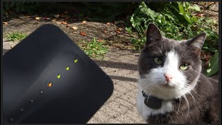 Finding my cat with the TabCat Radio Locator #Shorts