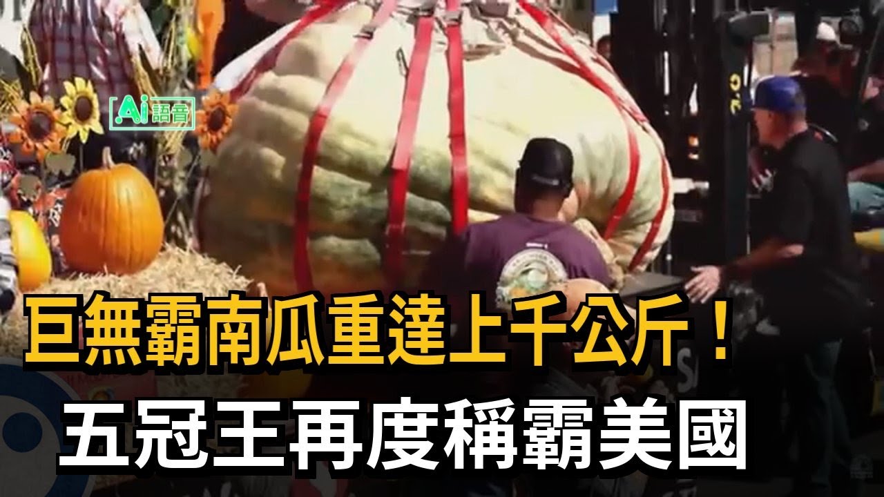 Colossal Pumpkin Weighs Over a Thousand Kilograms! Five-Time