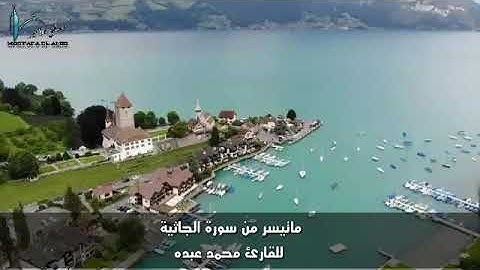 ماتيسر من سورة الجاثية للقارئ محمد عبده