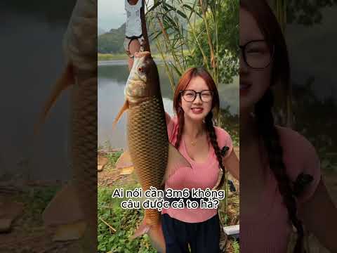 Nay em đi câu cá vừa ăn xiên nướng vừa ăn dưa hấu 