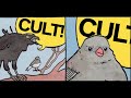 What is a Cult?