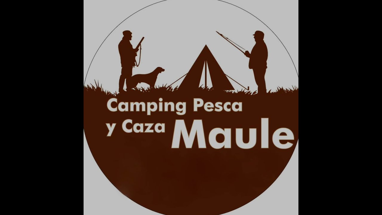 Pistola PCP Reximex RP 5.5mm – Camping Pesca y Caza Maule