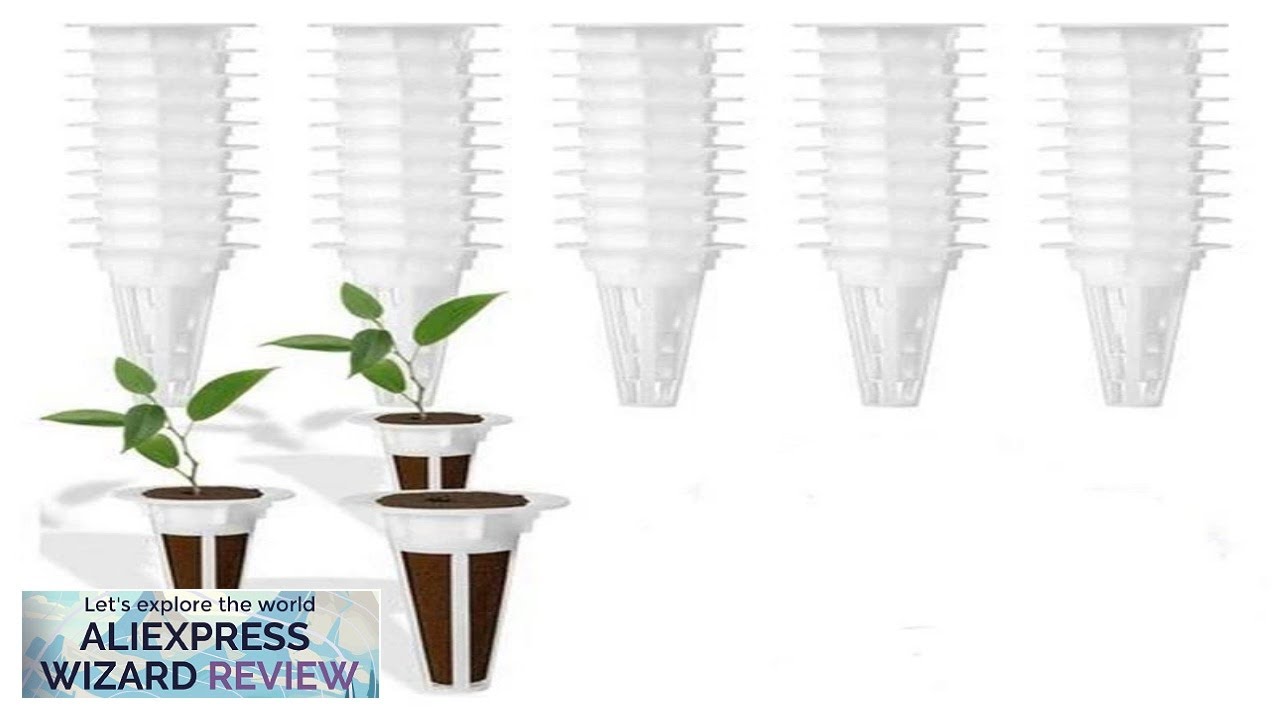 50Pcs/set Planting Basket Grow Sponges Planting Sponge Blocks for Aerogarden Review