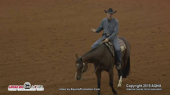 Western Pleasure Ride the Rail Clinic 2015