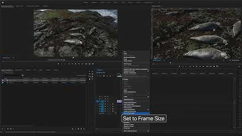 Scale to Frame Size vs Set to Frame Size in Adobe Premiere Pro