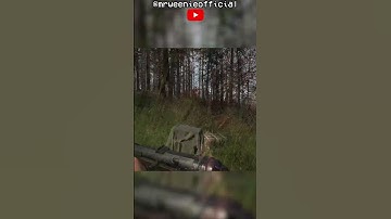 Airhead? Not anymore! (Hell Let Loose) #shorts #hellletloose #hellletloosegameplay