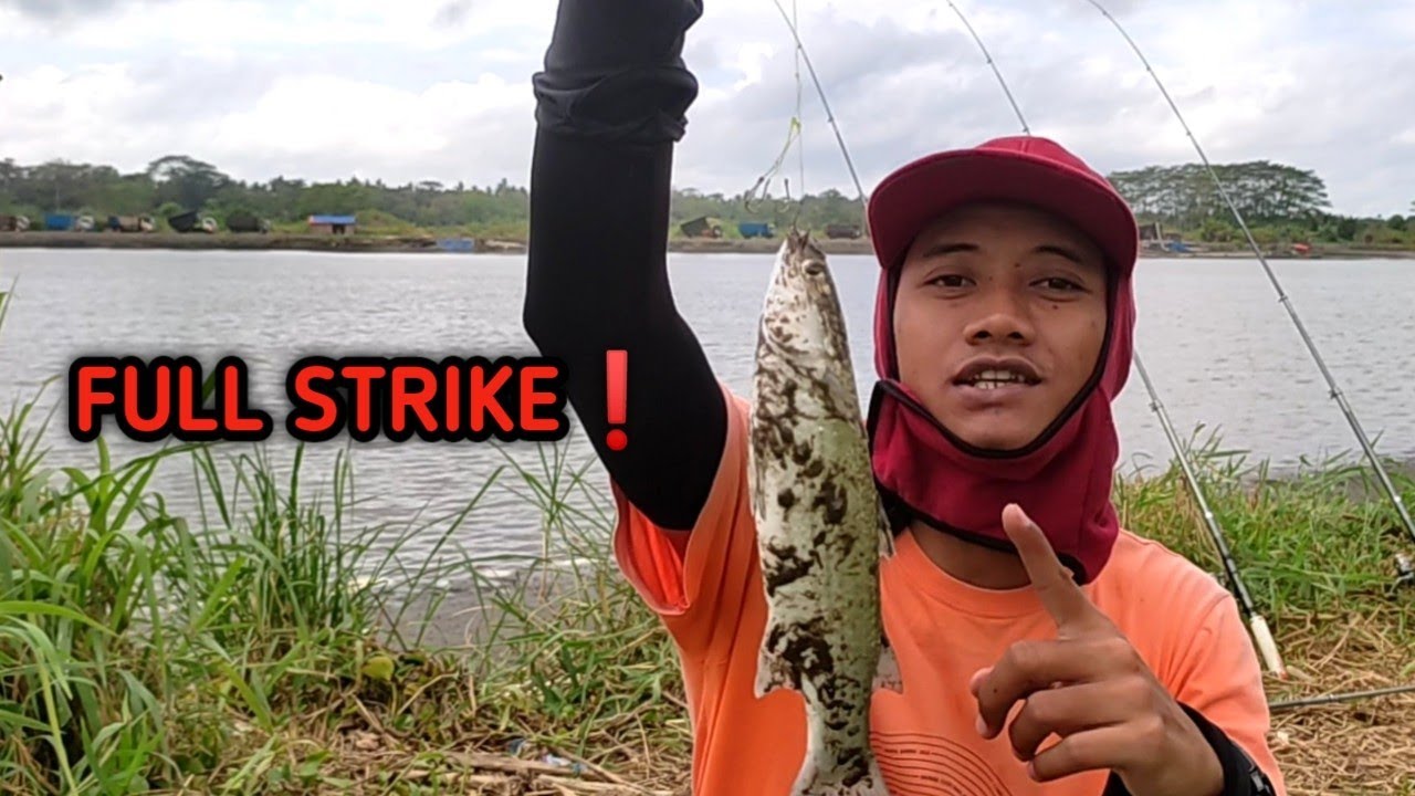 Full strike ikan belanak di sungai progo yogyakarta | Mancing Lagi