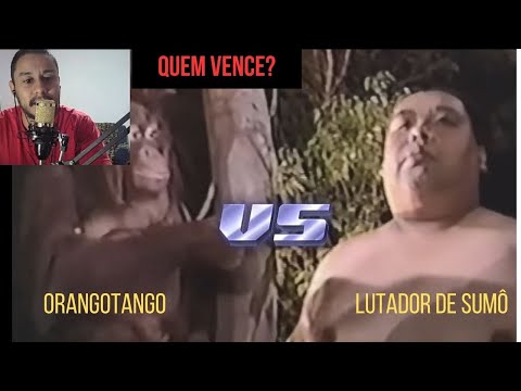 React (Fala de Tudo) Quando os animais superam os humanos. Desafios de Humanos contra Bichos