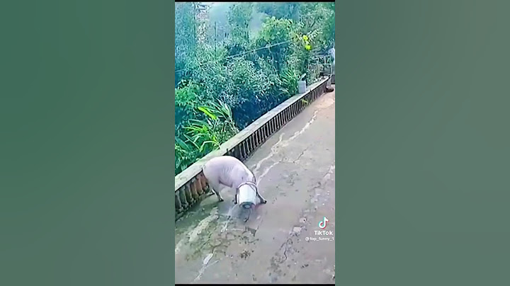 Đừng có mà hỗn 🤣