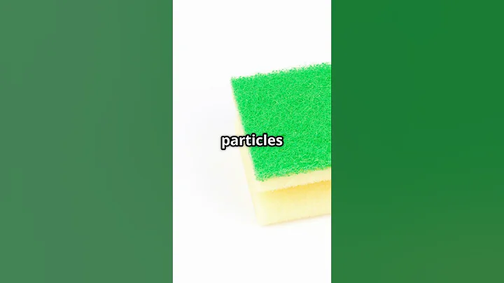 Your Kitchen Sponge is Dirtier Than a Toilet Seat🤢#Shorts #KitchenHacks #Cleaning #CleanTok #Science