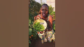 MAY 2025 HARVEST Gardening Mybackyardgarden Garden Harvest Harvesting 