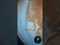 Europa hides an ocean twice as deep as Earth's