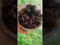 jumme din ka wajifa #cockingvlog #islamicvideo #reels #recipe