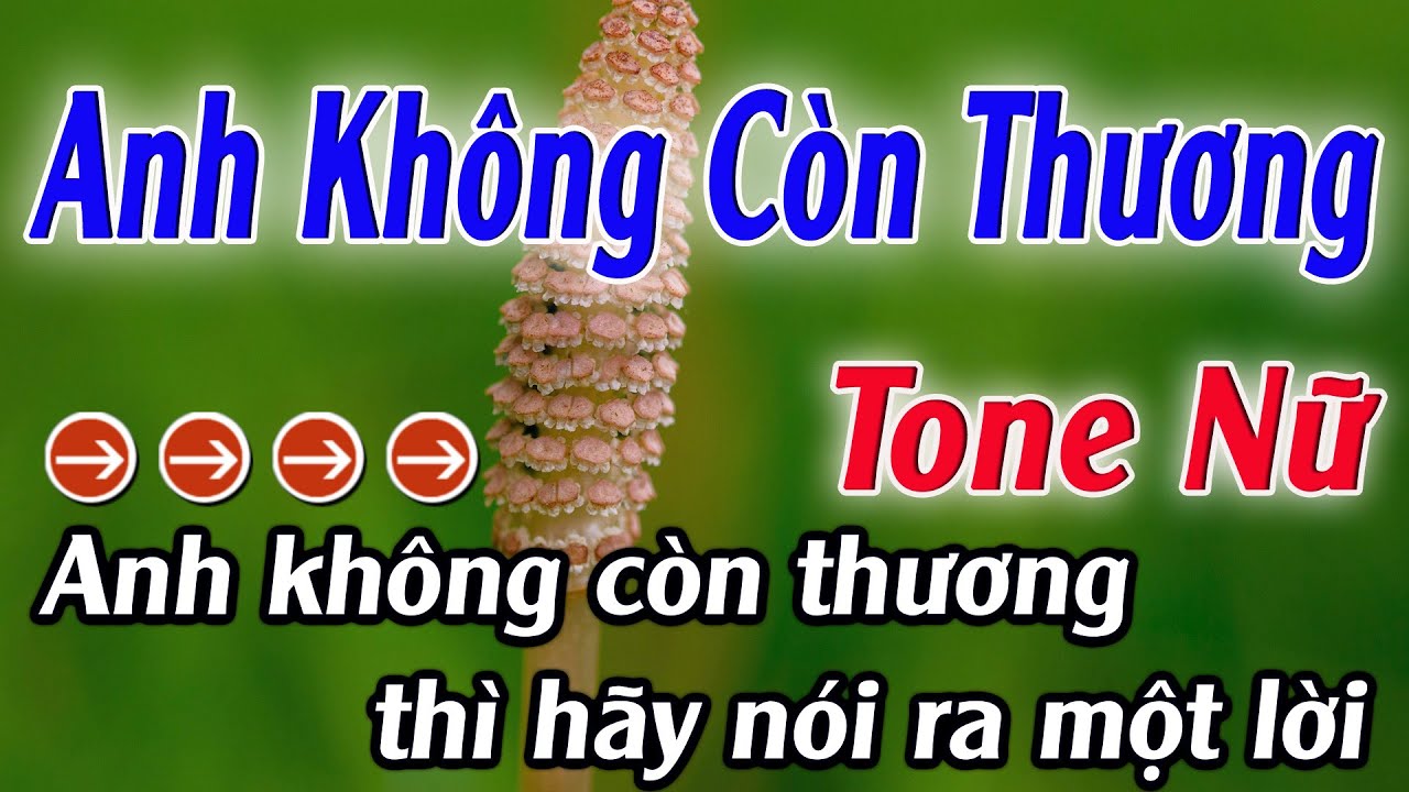 Karaoke Anh Không Còn Thương Karaoke Tone Nữ Beat Hay Nhất 2025 Karaoke Mê Nhạc Sống