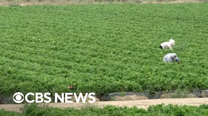 Migrant farm workers express concern about ICE raids