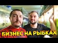 БИЗНЕС  ЗАРАБОТОК НА АКВАРИУМНЫХ РЫБКАХ для начинающих аквариумистов!