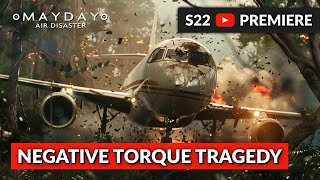 A Routine Landing Ends in a Stall│American Eagle 3379