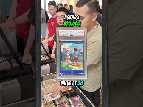 $50k UTC Top 8 Trade #pokemon