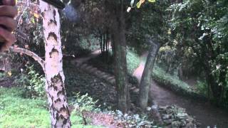 Planet Eclipse CSL shooting Video