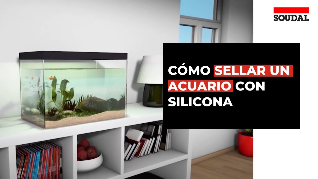 Cómo sellar un acuario con silicona para acuarios