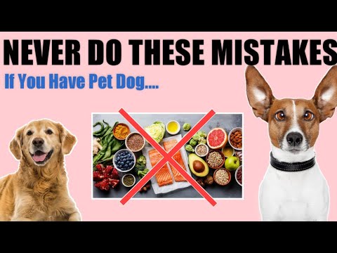 वीडियो: PetMD सर्वेक्षण से पता चलता है कि पालतू पशु मालिक निर्धारित आहार को गलत समझते हैं