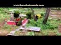 Thana Theke Aaschi Full Song Bajai Bashi