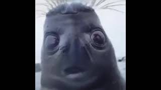 Cursed Fakeme Series No. 52 Youre In Love With A Psycho