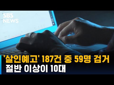 '살인예고' 글 187건 중 59명 검거…절반 이상이 10대 / SBS