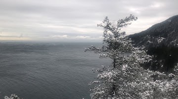 Beedie Luminaries Scholarship Video